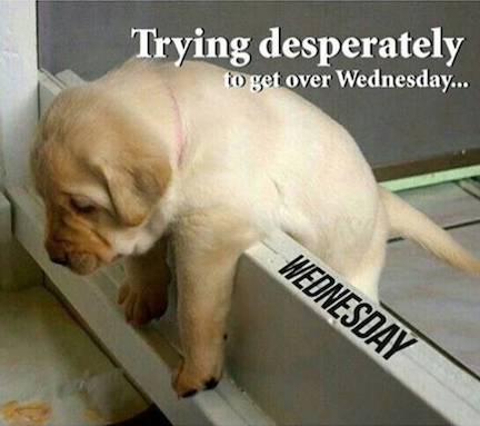 wednesday