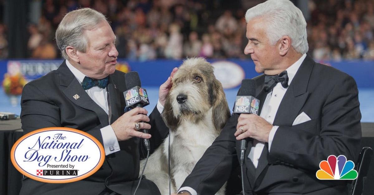 National Dog Show