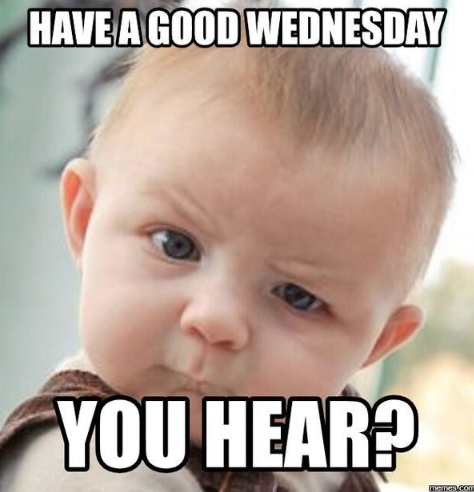 hump day memes